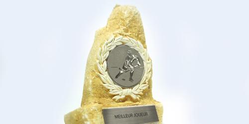 Metallex™ - Materialy do grawerowania - Gravograph